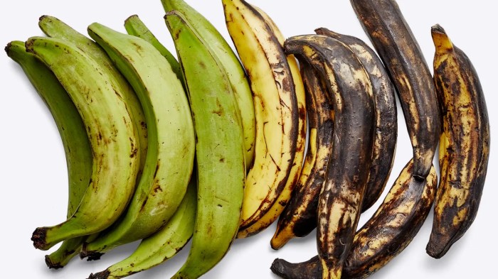 How to cook plantains cuban style