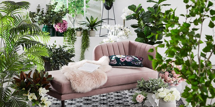 How to decorate plants in a small room